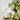 Kjoleen Handcrafted Scandinavian Wooden Pendant Light by Frellio – View 23